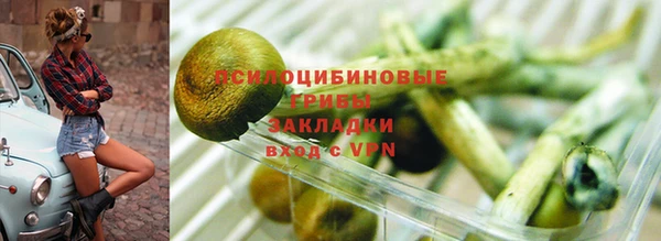 ECSTASY Богородск