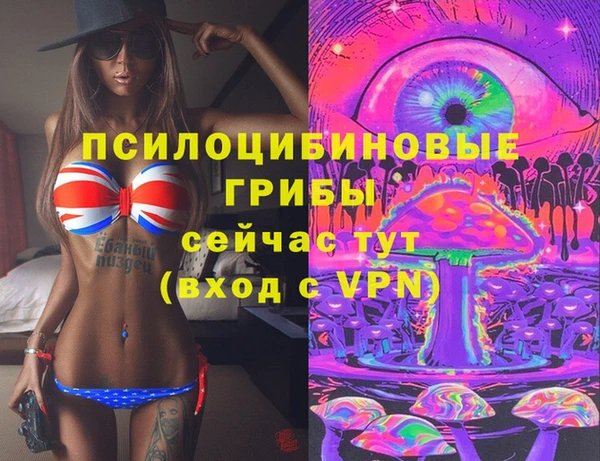 амфетамин Богородицк