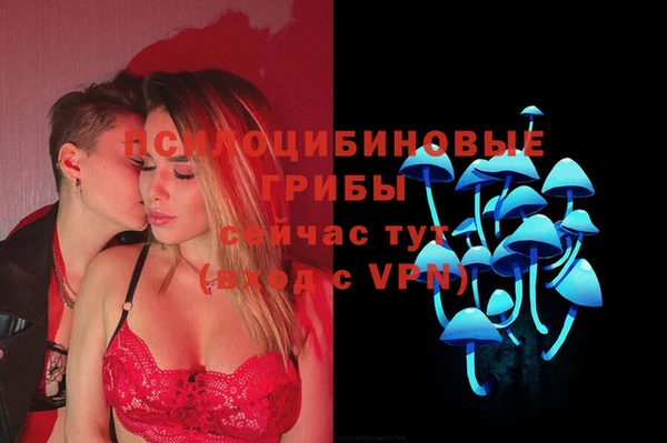 ECSTASY Богородск