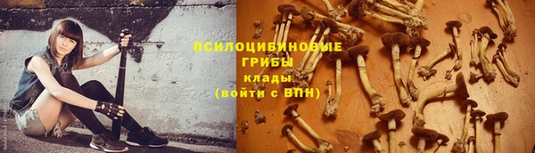 ECSTASY Богородск