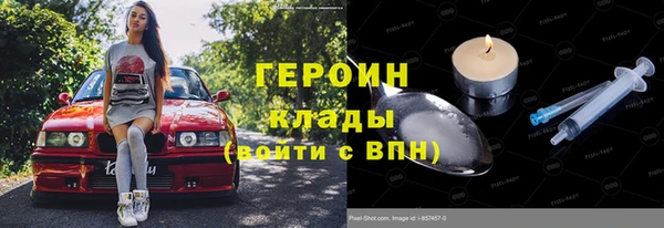 гашик Богданович