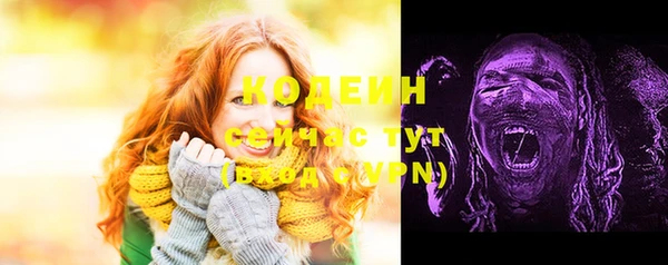 ECSTASY Богородск