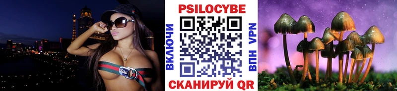 Псилоцибиновые грибы Psilocybe  цена   Дудинка 